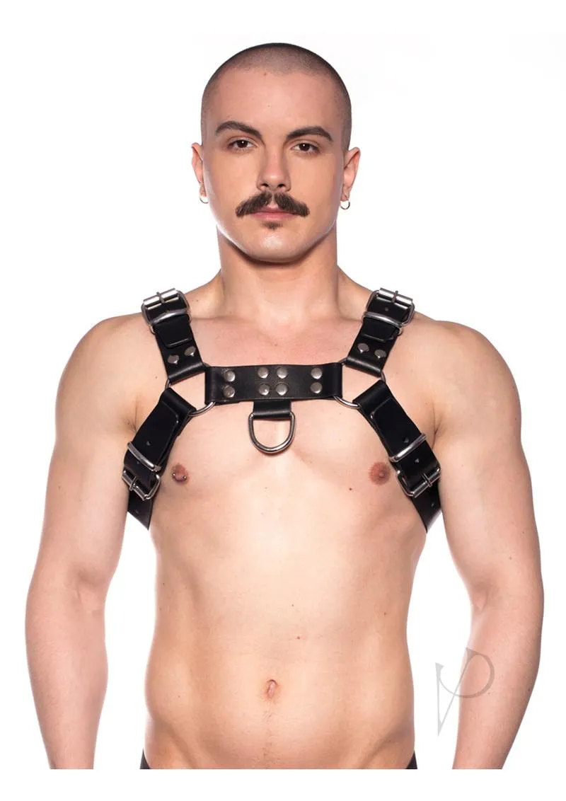 Prowler Red Butch Harness Blk/silv Md